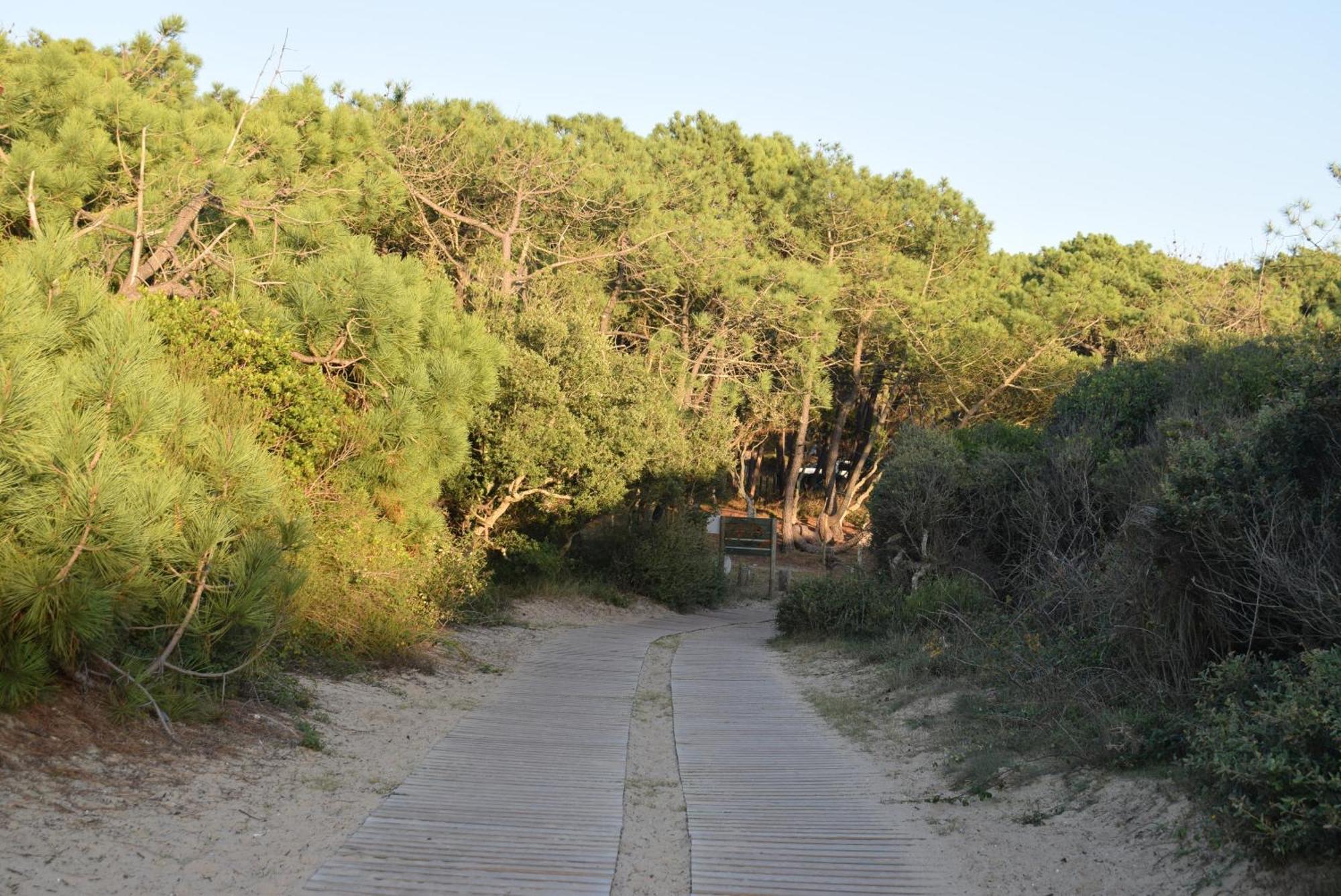 Evasion Cotiere Tranquillite Entre Foret Et Ocean Vielle-Saint-Girons Ngoại thất bức ảnh