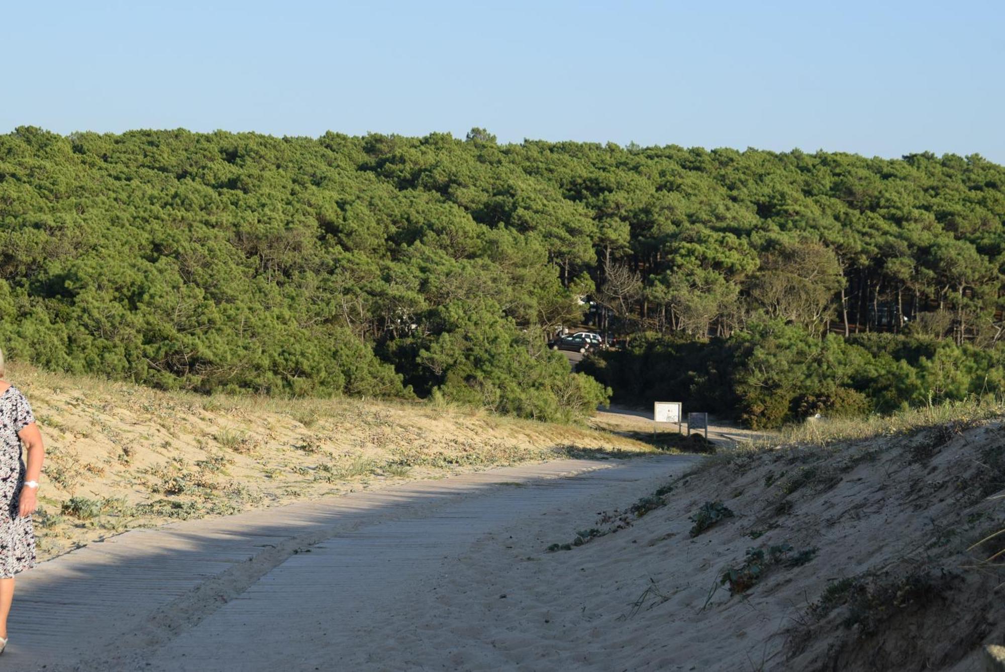Evasion Cotiere Tranquillite Entre Foret Et Ocean Vielle-Saint-Girons Ngoại thất bức ảnh