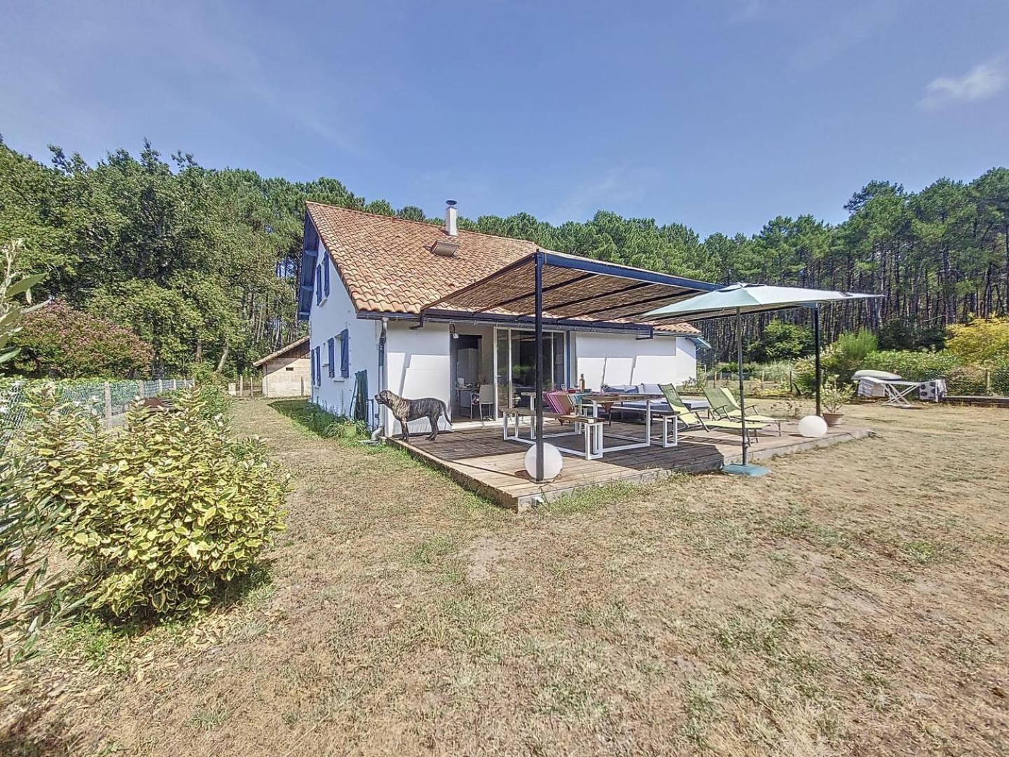 Evasion Cotiere Tranquillite Entre Foret Et Ocean Vielle-Saint-Girons Ngoại thất bức ảnh